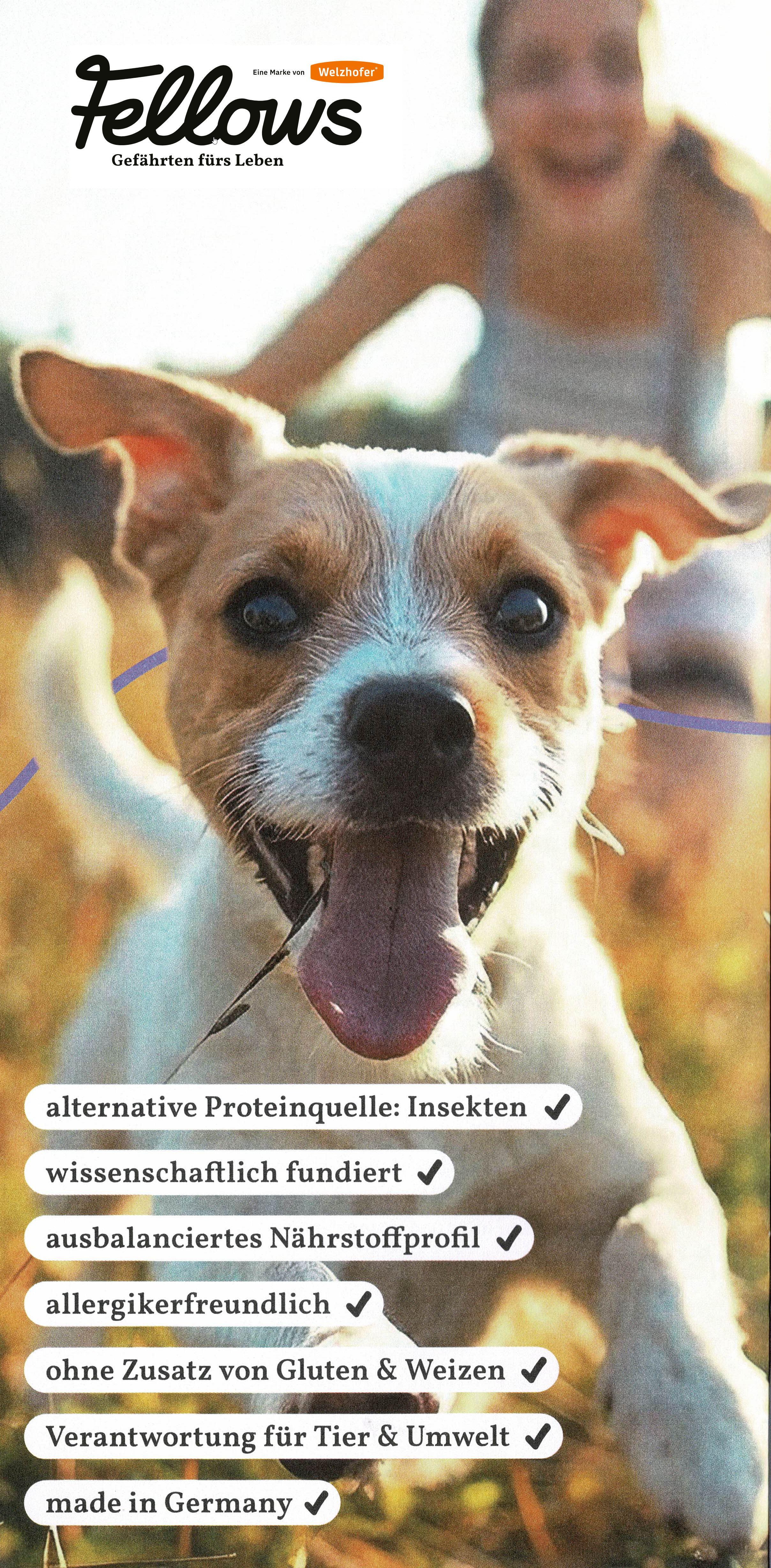 Hundefutter von Fellows