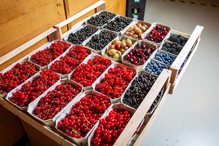 verschiedene Beeren